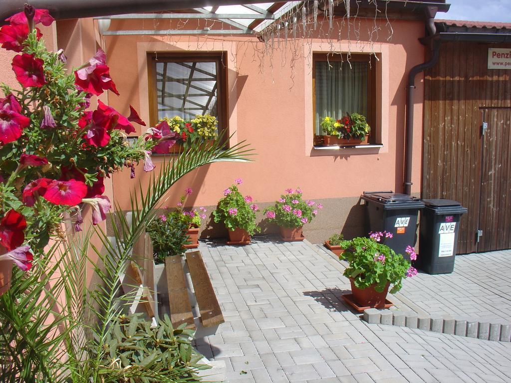 Wellness Penzion Palice Йиндржихув-Градец Экстерьер фото